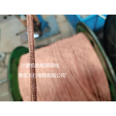 DJYVP、DJYPVP儀表信號計算機電纜生產廠家 天行品牌 生產定制