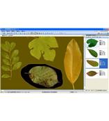 LA-S型植物葉面積、病斑、蟲損、葉色分檔分析儀系統
